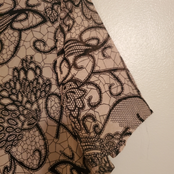 Signature Collection - Picture 4 of 4